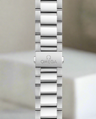 Seamaster "Aqua Terra" PM (VSF) 1:1 replica