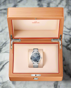 Seamaster "Aqua Terra" PM (VSF) 1:1 replica