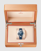 Seamaster "Aqua Terra" PM (VSF) 1:1 replica